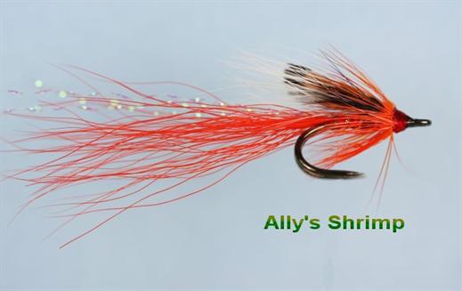 Ally's Shrimp Nordic